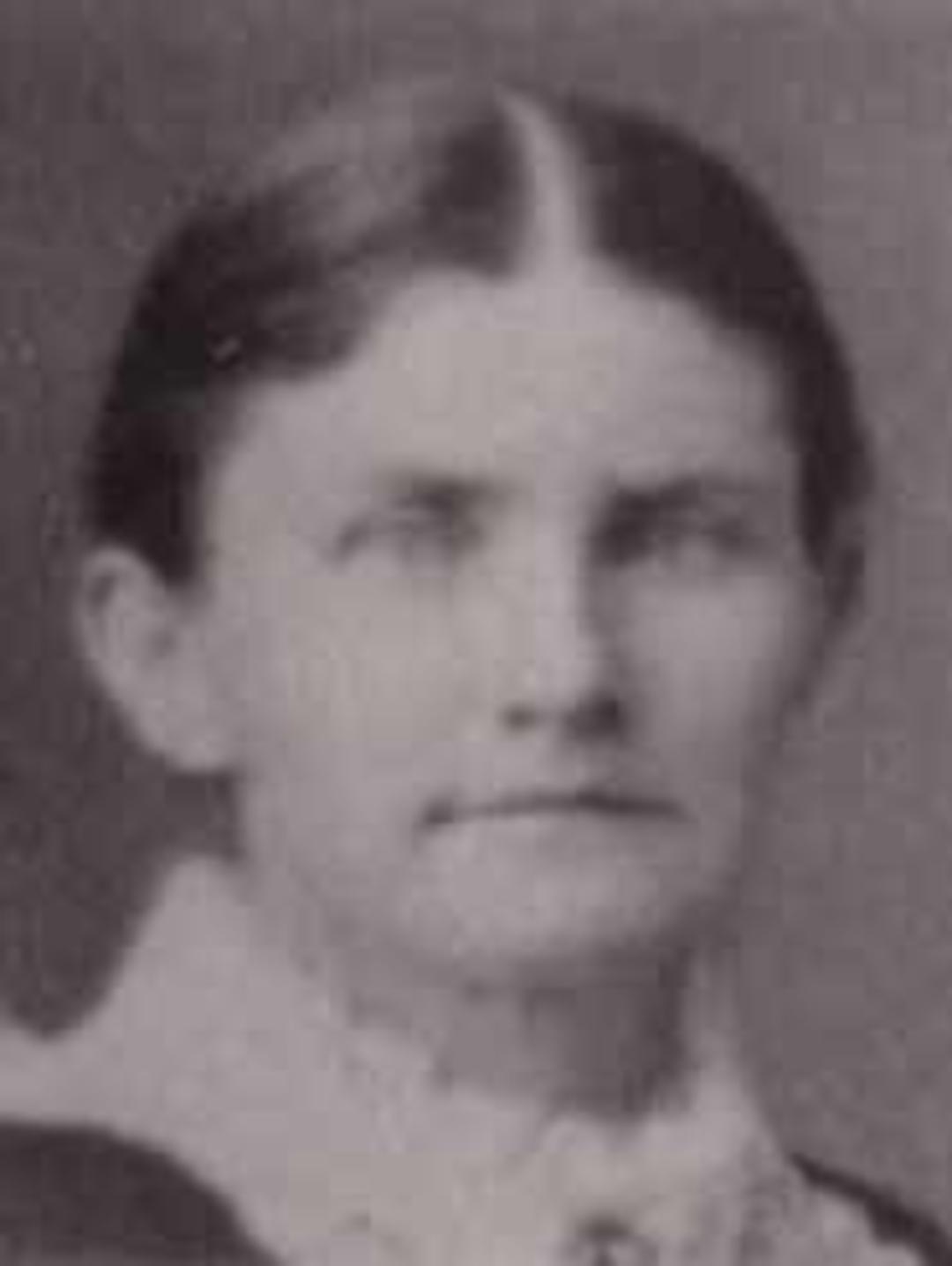 Rachel Cole (1844 - 1934) Profile